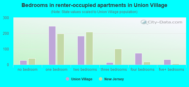 Bedrooms in renter-occupied apartments in Union Village