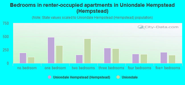 Bedrooms in renter-occupied apartments in Uniondale Hempstead (Hempstead)