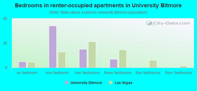 Bedrooms in renter-occupied apartments in University Bitmore