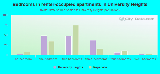 Bedrooms in renter-occupied apartments in University Heights