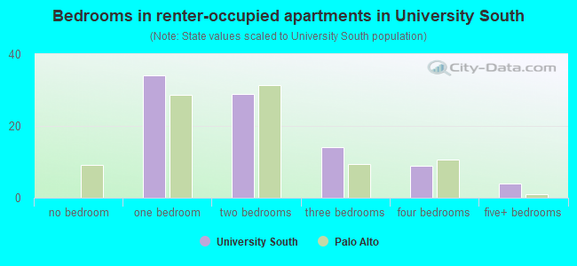 Bedrooms in renter-occupied apartments in University South