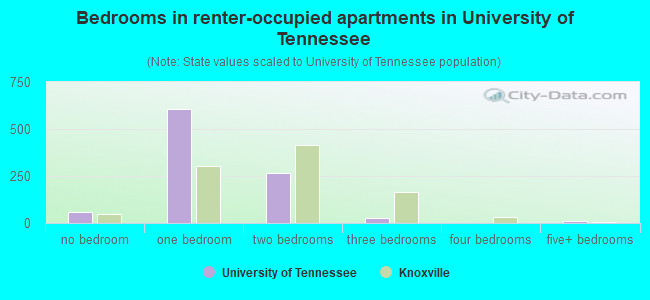 Bedrooms in renter-occupied apartments in University of Tennessee