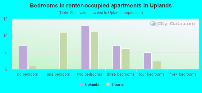 Bedrooms in renter-occupied apartments in Uplands