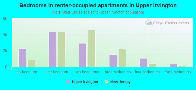 Bedrooms in renter-occupied apartments in Upper Irvington