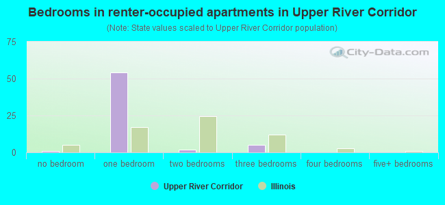 Bedrooms in renter-occupied apartments in Upper River Corridor