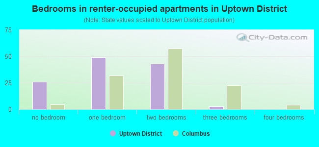 Bedrooms in renter-occupied apartments in Uptown District