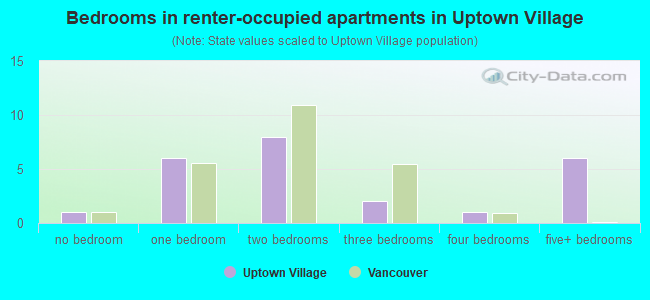 Bedrooms in renter-occupied apartments in Uptown Village