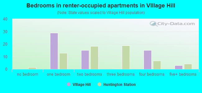 Bedrooms in renter-occupied apartments in VIllage Hill