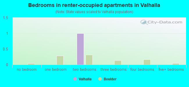 Bedrooms in renter-occupied apartments in Valhalla