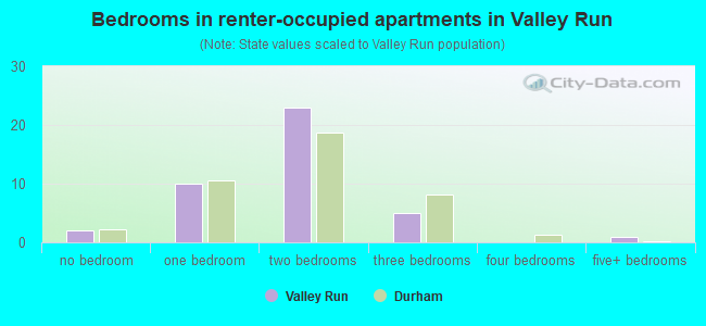 Bedrooms in renter-occupied apartments in Valley Run