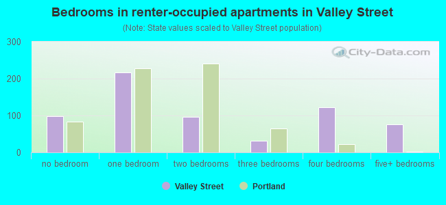 Bedrooms in renter-occupied apartments in Valley Street