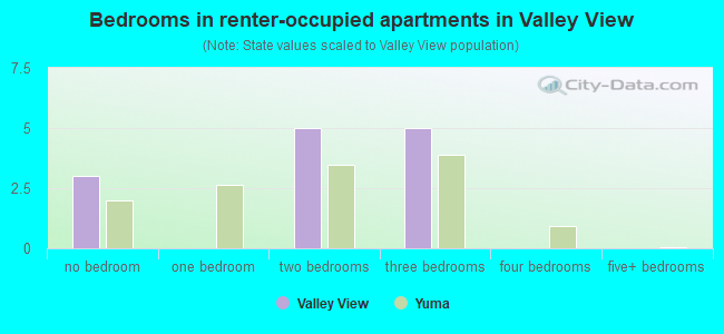 Bedrooms in renter-occupied apartments in Valley View