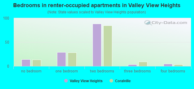 Bedrooms in renter-occupied apartments in Valley View Heights