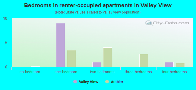 Bedrooms in renter-occupied apartments in Valley View