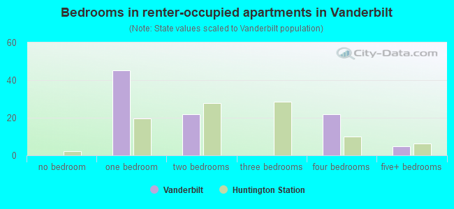 Bedrooms in renter-occupied apartments in Vanderbilt