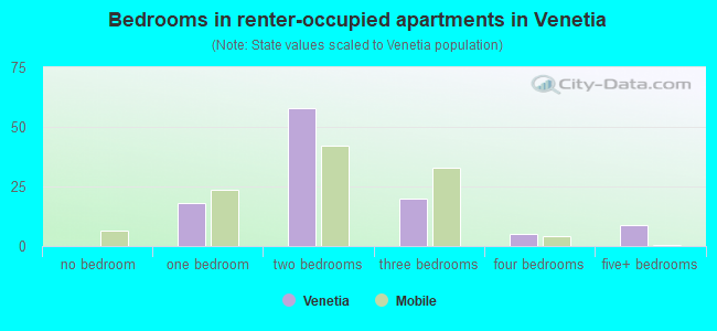 Bedrooms in renter-occupied apartments in Venetia
