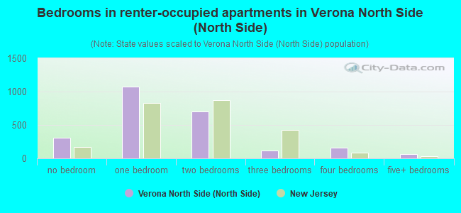 Bedrooms in renter-occupied apartments in Verona North Side (North Side)