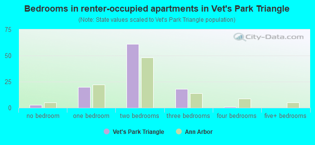 Bedrooms in renter-occupied apartments in Vet's Park Triangle