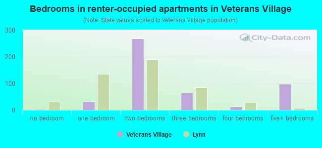 Bedrooms in renter-occupied apartments in Veterans Village