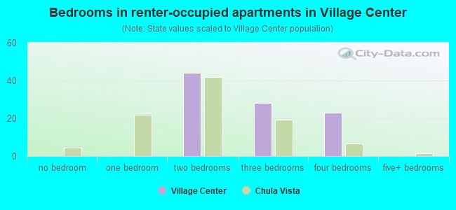 Bedrooms in renter-occupied apartments in Village Center