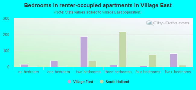Bedrooms in renter-occupied apartments in Village East