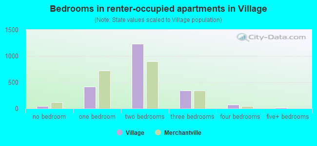 Bedrooms in renter-occupied apartments in Village
