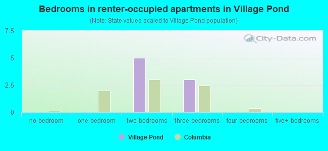Bedrooms in renter-occupied apartments in Village Pond