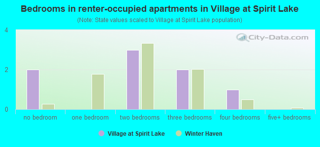 Bedrooms in renter-occupied apartments in Village at Spirit Lake