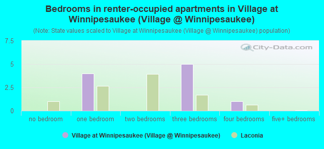 Bedrooms in renter-occupied apartments in Village at Winnipesaukee (Village @ Winnipesaukee)