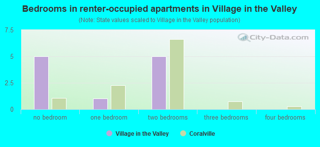 Bedrooms in renter-occupied apartments in Village in the Valley