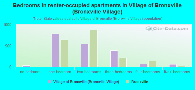 Bedrooms in renter-occupied apartments in Village of Bronxville (Bronxville Village)