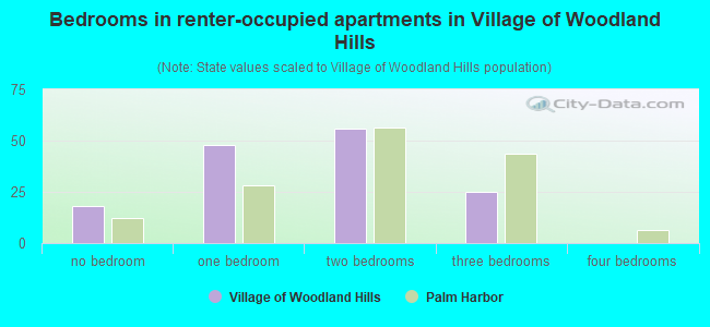 Bedrooms in renter-occupied apartments in Village of Woodland Hills