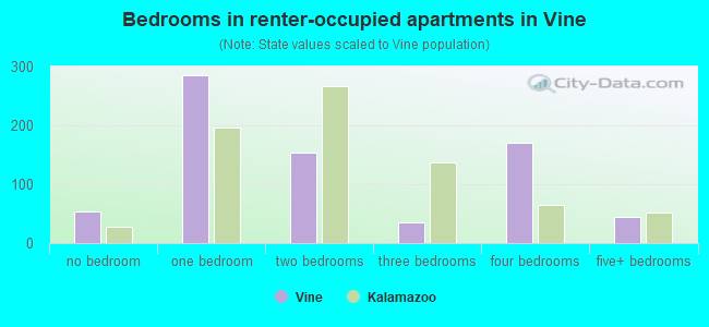 Bedrooms in renter-occupied apartments in Vine