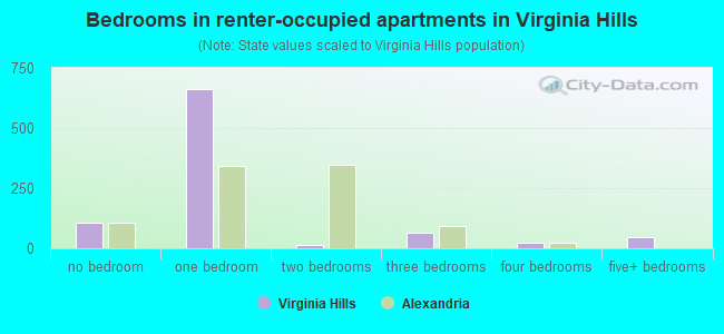 Bedrooms in renter-occupied apartments in Virginia Hills