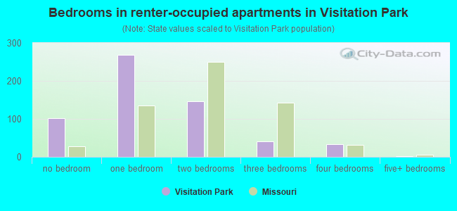 Bedrooms in renter-occupied apartments in Visitation Park