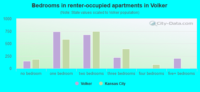 Bedrooms in renter-occupied apartments in Volker