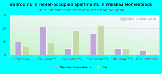 Bedrooms in renter-occupied apartments in Waiākea Homesteads