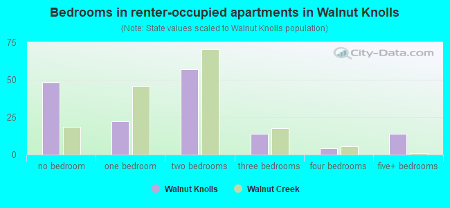 Bedrooms in renter-occupied apartments in Walnut Knolls