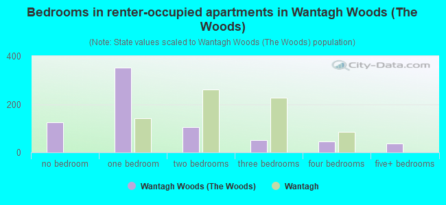 Bedrooms in renter-occupied apartments in Wantagh Woods (The Woods)