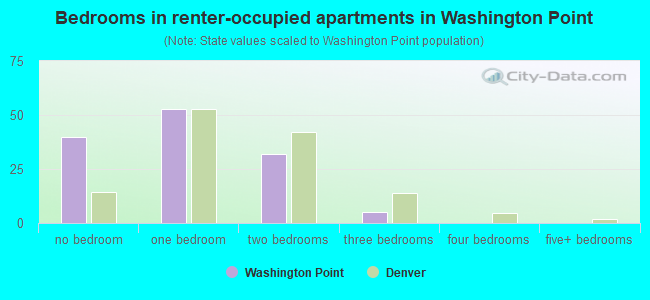 Bedrooms in renter-occupied apartments in Washington Point