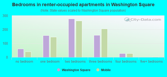 Bedrooms in renter-occupied apartments in Washington Square