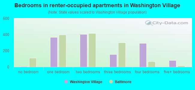 Bedrooms in renter-occupied apartments in Washington Village