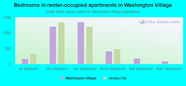 Bedrooms in renter-occupied apartments in Washington Village