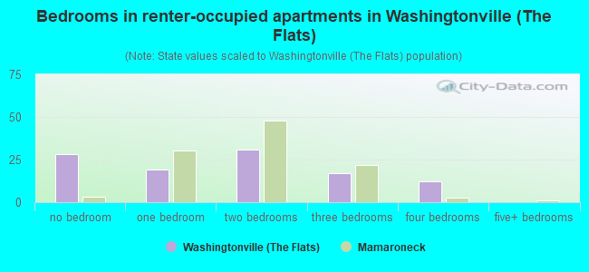 Bedrooms in renter-occupied apartments in Washingtonville (The Flats)