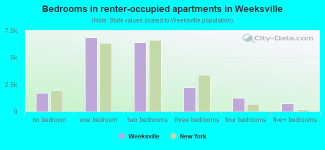 Bedrooms in renter-occupied apartments in Weeksville