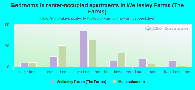 Bedrooms in renter-occupied apartments in Wellesley Farms (The Farms)