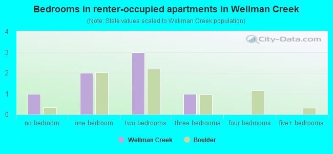 Bedrooms in renter-occupied apartments in Wellman Creek