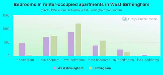 Bedrooms in renter-occupied apartments in West Birmingham