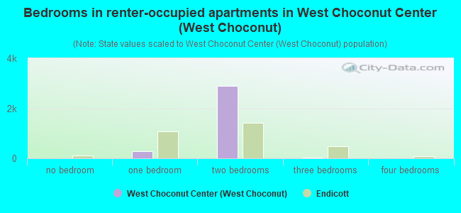 Bedrooms in renter-occupied apartments in West Choconut Center (West Choconut)
