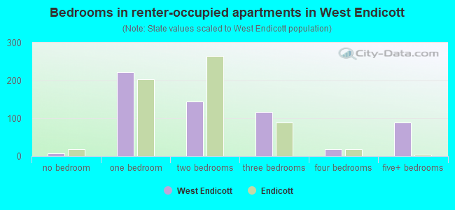 Bedrooms in renter-occupied apartments in West Endicott
